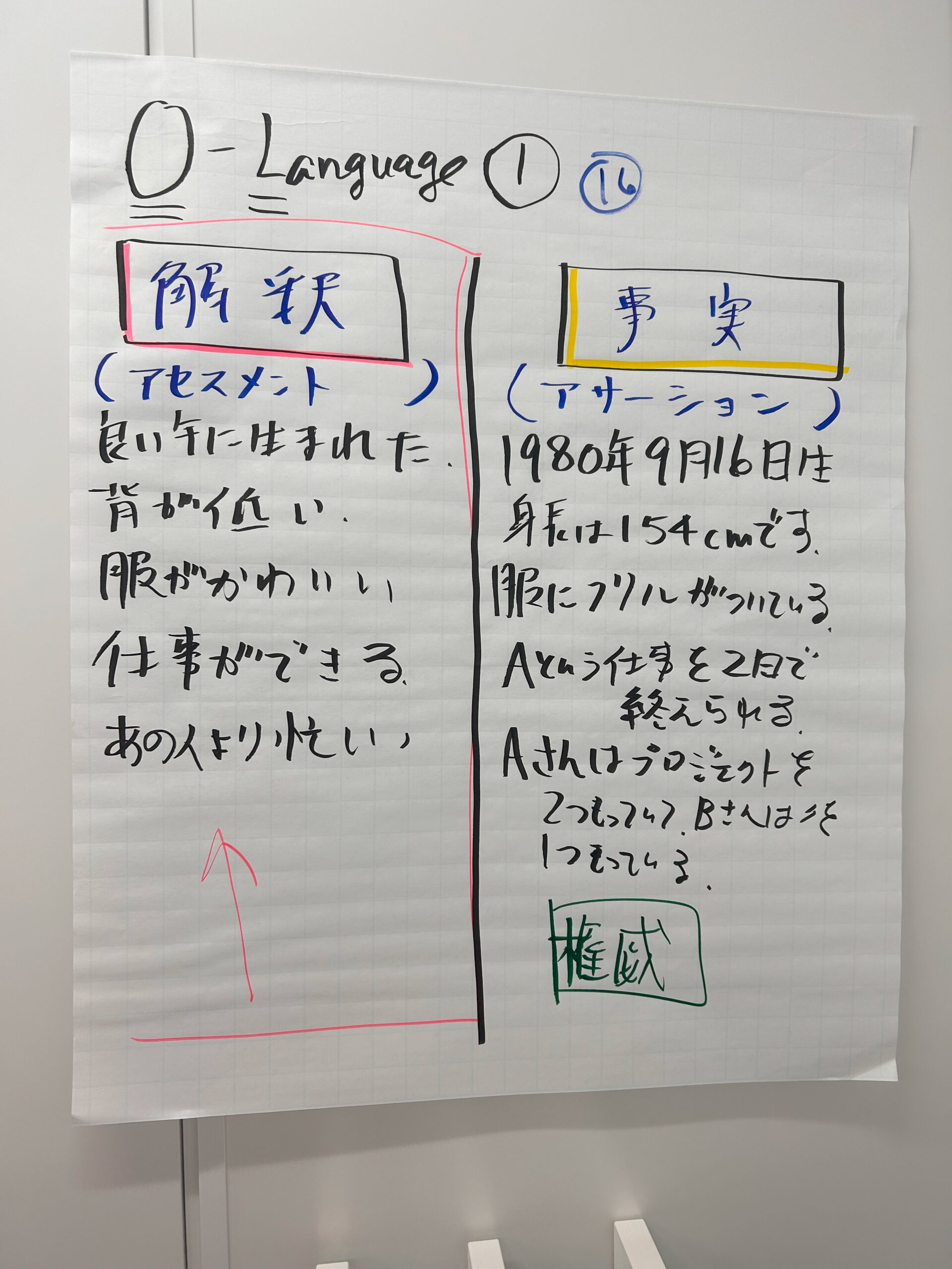 キックオフ・カンファレンスで議論したアセスメント(解釈)とアサ ーション(事実)の違いについての資料